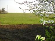 Нове Село з panoramio.com