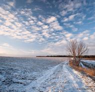 Гулі з panoramio.com