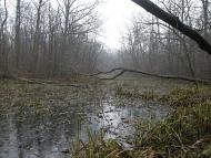 Устя з panoramio.com