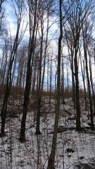 Ворочово з panoramio.com - Ворочево