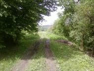 Великі Глібовичі з panoramio.com