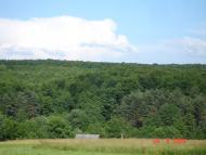 Тереблече з panoramio.com