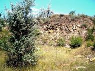 Кам'янка з panoramio.com