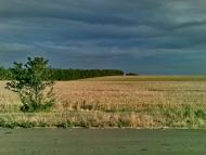 Висока Яруга з panoramio.com