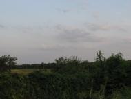 Русакове - Останні фото