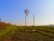 Нижня Кринка з panoramio.com