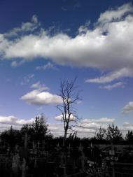 Згурівка з panoramio.com