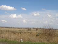 Баштевич з panoramio.com