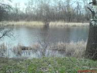 Підгірне з panoramio.com