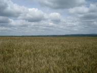 Мала Колибань з panoramio.com