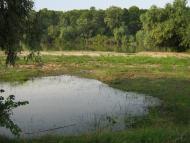 Красна Коса з panoramio.com