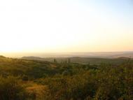 Ближнє з panoramio.com