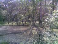 Літки з panoramio.com