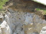 Чесники з panoramio.com