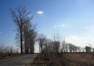 Бриків з panoramio.com