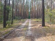 Долина з panoramio.com