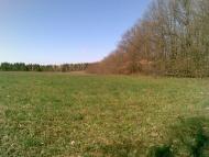 Битиця з panoramio.com