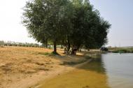 Вільхівка з panoramio.com - Вільхівка