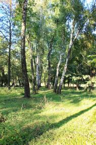 Сніжна з panoramio.com