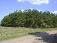 Мовники - Останні фото