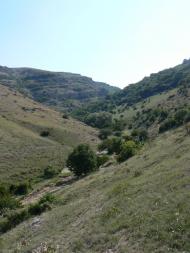 Дружне з panoramio.com - Дружне