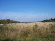 Назавизів з panoramio.com