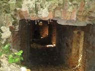 Новофастів з panoramio.com