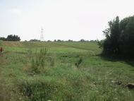 Чагарі-Збаразькі з panoramio.com