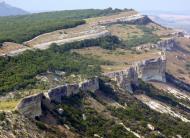 Тополі з panoramio.com