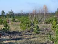 Новотроїцьке з panoramio.com