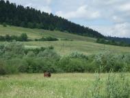 Бусовисько з panoramio.com