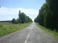 Михалківці з panoramio.com