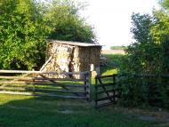 Онопріївка з panoramio.com