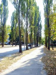 Вишневе з panoramio.com - Вишневое