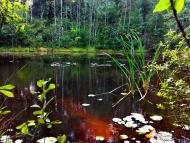 Гута-Ткачова з panoramio.com