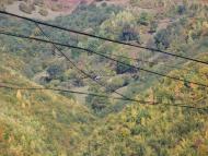 Монастирець з panoramio.com