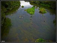 Олександрія з panoramio.com