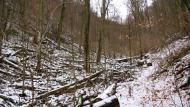 Ворочово з panoramio.com - Ворочево