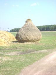 Пісочне з panoramio.com