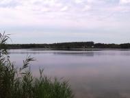 Барвінкове з panoramio.com