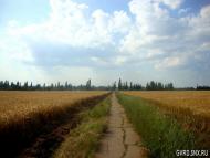 Маленьке з panoramio.com