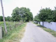 Пліщин з panoramio.com