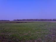 Шевченкове з panoramio.com