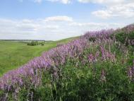 Михайлівка з panoramio.com