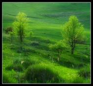 Замірці з panoramio.com