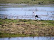 Киселівка з panoramio.com