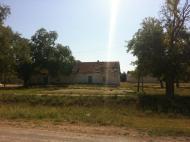 Дрофине з panoramio.com