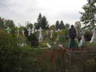 Мамаївці з panoramio.com