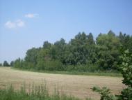 Кузьминці з panoramio.com