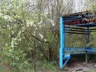 Ізюмівка з panoramio.com